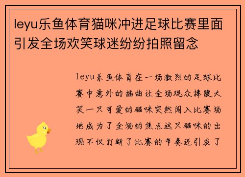 leyu乐鱼体育猫咪冲进足球比赛里面引发全场欢笑球迷纷纷拍照留念
